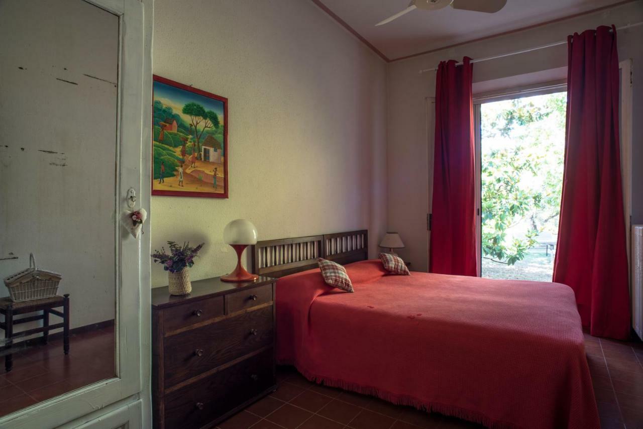 Trecentolivi B&B Montignano エクステリア 写真