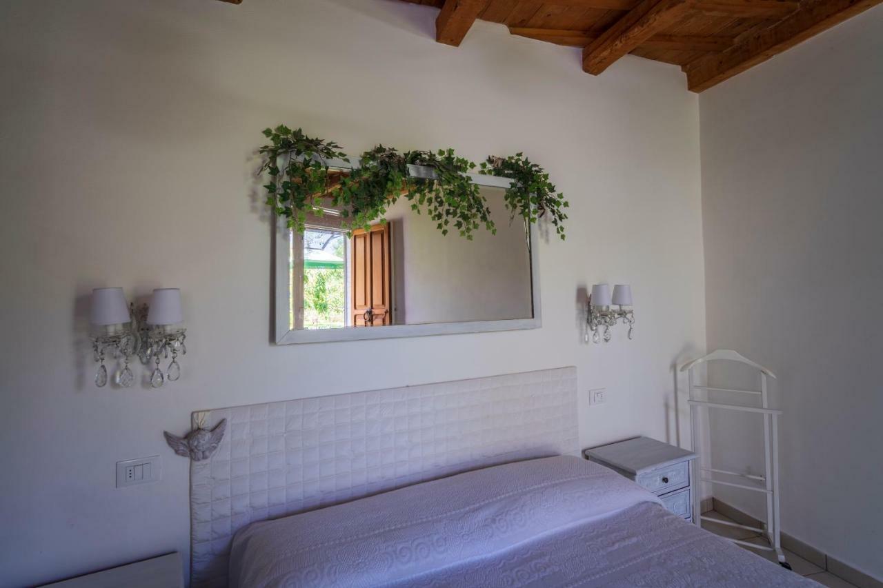 Trecentolivi B&B Montignano エクステリア 写真